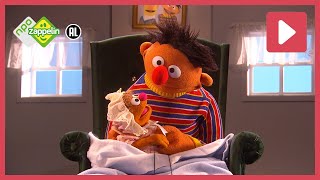 15 MINUTEN BERT amp ERNIE  Sesamstraat  NPO Zappelin [upl. by Lars260]