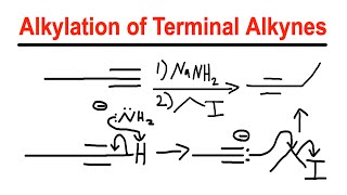 Alkylation of Terminal Alkynes  NaNH2Alkyl Halide  Organic Chemistry [upl. by Kerwinn364]