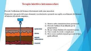 Iniezioni Intramuscolari [upl. by Del402]