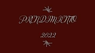 Prendimiento Huelva 2022 [upl. by Pavior]