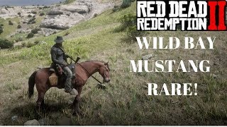 RED DEAD REDEMPTION 2 MUSTANGE HORSE LOCATION [upl. by Sitruc]