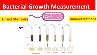 Bacterial Growth Measurement Direct and Indirect Methods Explained [upl. by Cheng]