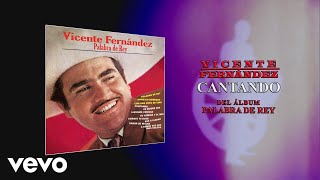 Vicente Fernández  Cantando Cover Audio [upl. by Noiroc]