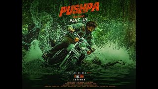 Pushpa The Rise Full Movie In Hindi  Pushpa Part 2  Allu Arjun movie  Detailed Review and Facts [upl. by Randolf80]