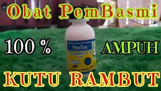 PEDITOX Obat Paling Ampuh Pembasmi Kutu Rambut Dijamin Mati [upl. by Mathia788]