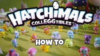 Hatchimals Colleggtibles  How To Video [upl. by Ennaeiluj]