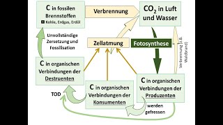 Kohlenstoffkreislauf erklärt auch für Sek I geeignet [upl. by Foley]