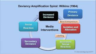 Deviancy Amplification Spiral [upl. by Rodablas659]