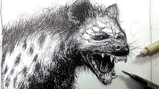 Pen amp Ink Drawing Tutorials  Draw a Hyena [upl. by Haland]