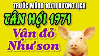 Dự báo tử vi Tân Hợi 1971 Vận đỏ như son ngồi nhà mà tiền vẫn về trước ngày mùng 1011 dương lịch [upl. by Analed]