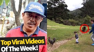 Top 50 Best Viral Videos Of The Month So Far November 2019  Wk1 [upl. by Attesoj706]