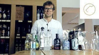 Was ist der beste Gin für einen Gin Tonic  Delicious Berlin [upl. by Duhl]