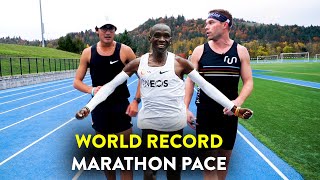 Running the Kipchoge Challenge World Record Marathon Pace with Zach Levet [upl. by Noslien519]