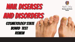 Nail Diseases and disorders Cosmetology State Board 2023 [upl. by Gerta508]