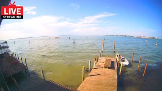 🔴 Venice Italy Live Cam  Laguna Nord Venice  Stream from Cantieri Biasin  Instant Weather [upl. by Setsero972]