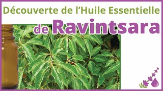 Ravintsara  Lhuile essentielle antivirale 🛑 🦠 🙅🏻‍♀️🙅 Dr Françoise Couic Marinier [upl. by Eusadnilem]