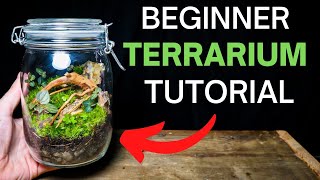 How To Make A Terrarium  ULTIMATE Beginners Guide [upl. by Mellman]