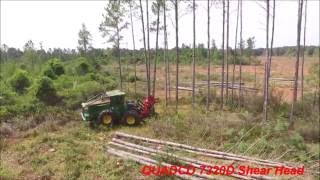 QUADCO 7320D Bunching Shear Head on a Deere 643L in Florida 1 [upl. by Ponce141]