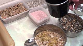 How To Make Bird Seed Treats [upl. by Eeldarb]