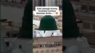 🕋Zam zam travel🕋Niyat qilgan yaqiningizga yuborib qoying🤗😍 [upl. by Ela813]