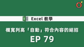 Excel 教學  欄寬列高「自動」符合內容的絕招 EP 79 [upl. by Cower]