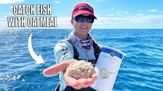 How to Catch Yellowtail Snapper  Fishing with Oatmeal [upl. by Spada]