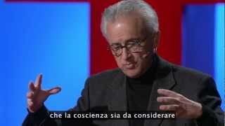 TEDItalia  Comprendere la coscienza Antonio Damasio [upl. by Brooke]