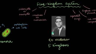 Systems of Classification  Biological Classification  Biology  Khan Academy [upl. by Amitie979]