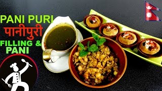 PANI PURI पानीपुरी  Pani and Filling For PANIPURI  How to make Pani Puri 🍴 37 [upl. by Sinegold]