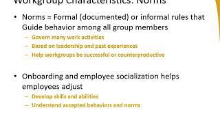 Teams and Group Dynamics in Organizations Conflict Norms Cohesion amp Performance [upl. by Alamat]