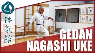 HOW TO GEDAN NAGASHI UKE  Shōtōkan Karate Technique by Fiore Tartaglia [upl. by Daron913]