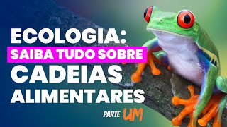 Ecologia Saiba TUDO sobre cadeias alimentares [upl. by Krystle]