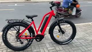 Factory directly sell 2640 fat tire Bafang mid motor 1000W electric city lady bicycles [upl. by Rosenberger]