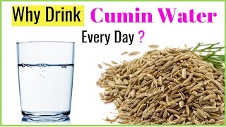 Cumin Water 7 Benefits to starting drink Every Day [upl. by Binnings]