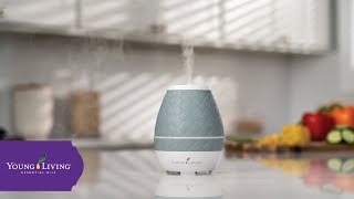 Sweet Aroma™ Ultrasonic Diffuser  Young Living Essential Oils [upl. by Natanhoj]