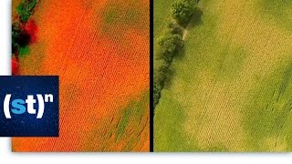 How are drones helping farmers keep an eye on crops  SciTech Now [upl. by Aniad225]