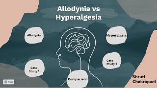 Allodynia vs Hyperalgesia [upl. by Thapa]