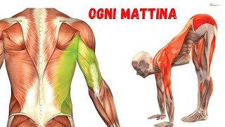 6 esercizi stretching da fare tutti i giorni [upl. by Acinomal]