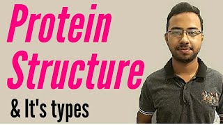 Protein structure  primary secondary tertiary and quaternary structure of protein [upl. by Lednahs]