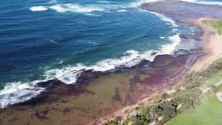 Collaroy Beach in Australia collaroybeach [upl. by Docile]