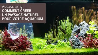 Aquascaping  Comment créer un paysage naturel pour votre aquarium [upl. by Laws]