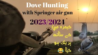 Dove Hunting with Springer air gunGAMO ROADSTER IGT 10X GEN2SSB Hunter [upl. by Zimmerman92]