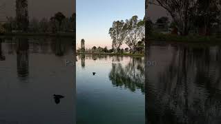 Shepparton park lake [upl. by Immanuel569]