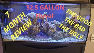 325 gallon fluval saltwater aquarium 7 month update [upl. by Philemon]