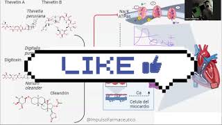 DIGOXINA  Sustancias Cardioactivas  MECANISMO DE ACCIÓN cardio [upl. by Elohcin]