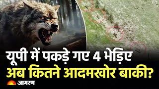 Hindi News Live Bahraich Wolf Attack  Weather Update  Elvish Yadav  Today News  Breaking News [upl. by Agneta]