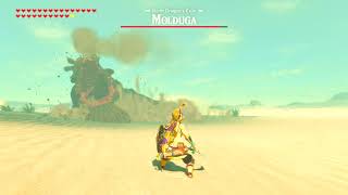 The Legend of Zelda Breath of the Wild  Molduga battle music mix [upl. by Iturk976]