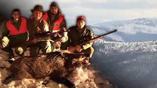 Hunting Serbia  Wild boar hunting  Lov na divlje svinje Stara planina  Caccia ai cinghiali [upl. by Llerahs]