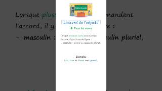 L’adjectif qualificatif avec plusieurs noms 🔵👨🏻‍🏫🎓 adjectifs grammaire françaisfacile [upl. by Bernadette]