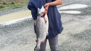 Salmon fishing at tekapo canal [upl. by Daniyal247]